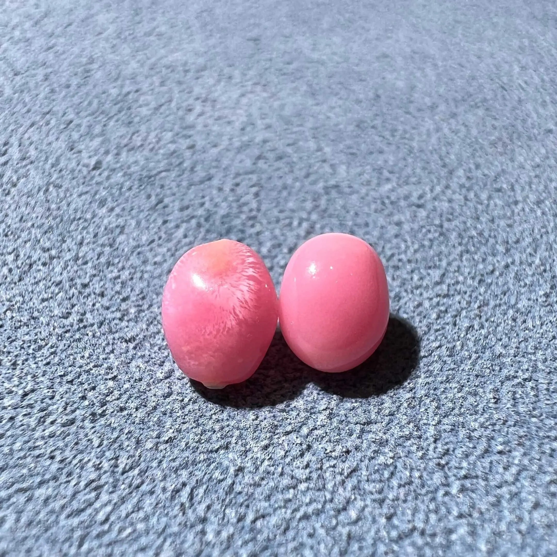 1.86Ct Pairs Queen Conch Pearl From Caribbean Sea, Pearls Strombus Gigas SKU: B751 / B752 Etsy