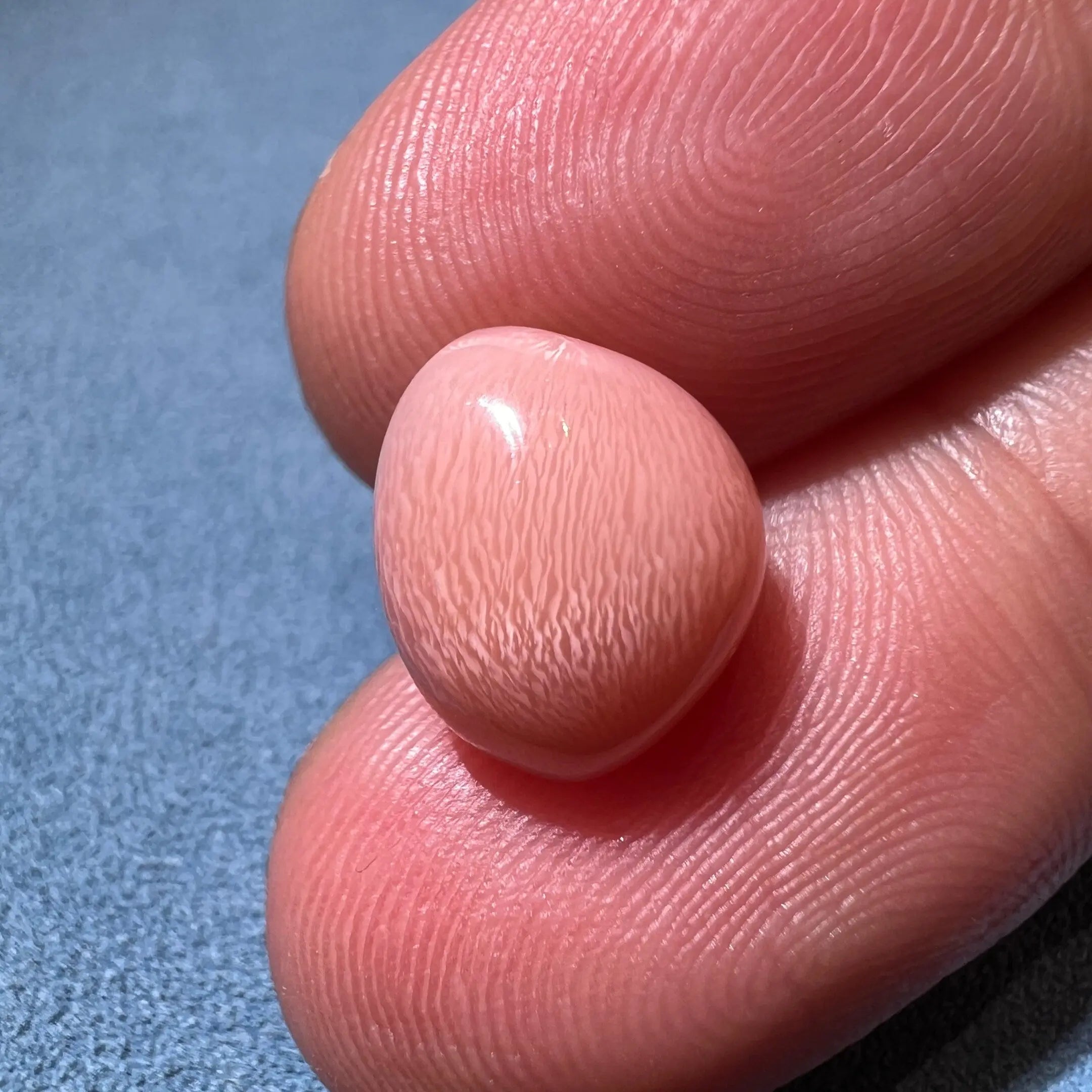 5.81Carat "Peach Pink" Queen Conch Pearl From Caribbean Sea, Pearls Strombus Gigas, Natural Queen Conch Pearl, Flamed Pink Pearl, SKU: 1425 Etsy