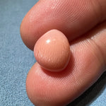 5.81Carat "Peach Pink" Queen Conch Pearl From Caribbean Sea, Pearls Strombus Gigas, Natural Queen Conch Pearl, Flamed Pink Pearl, SKU: 1425 Etsy