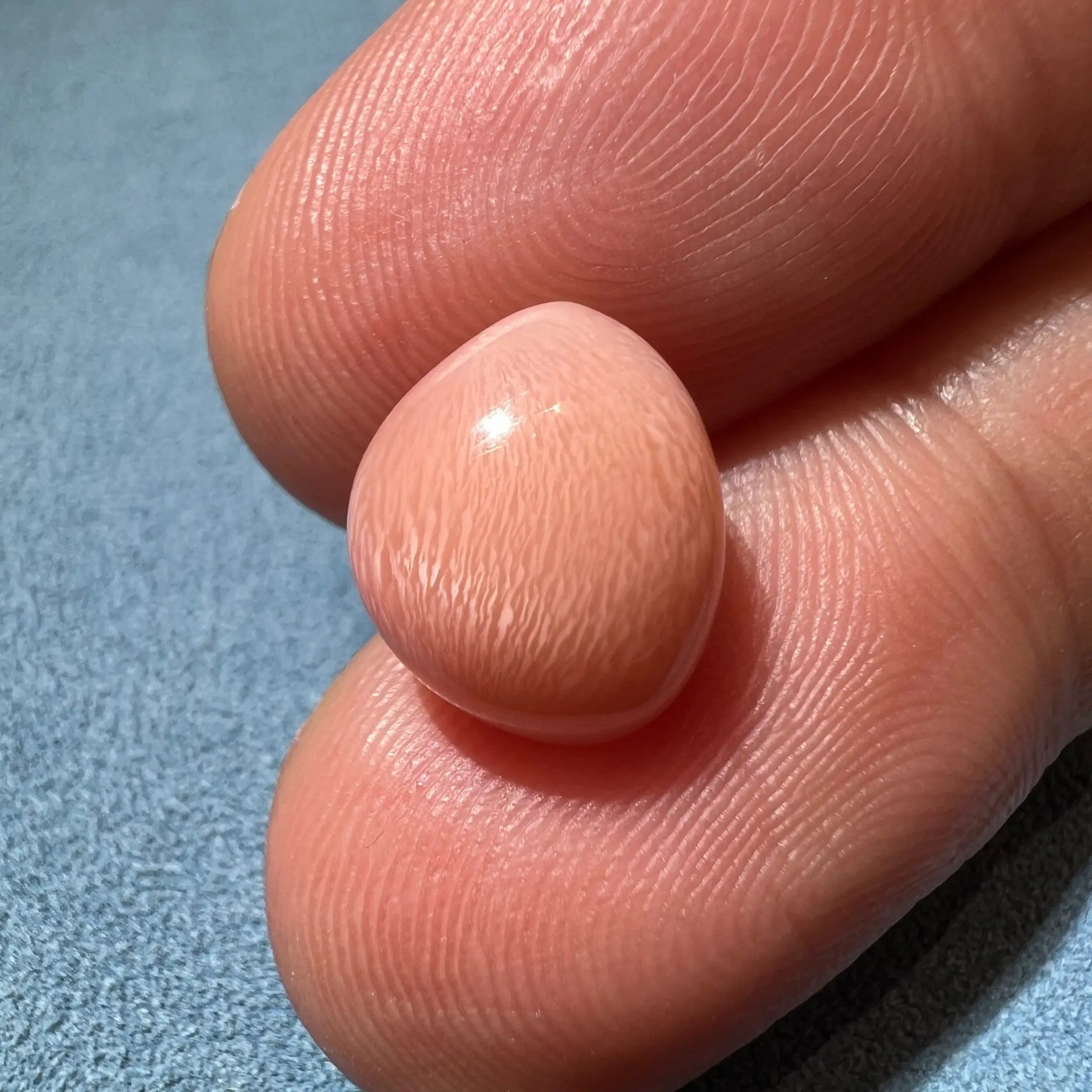 5.81Carat "Peach Pink" Queen Conch Pearl From Caribbean Sea, Pearls Strombus Gigas, Natural Queen Conch Pearl, Flamed Pink Pearl, SKU: 1425 Etsy