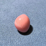 5.81Carat "Peach Pink" Queen Conch Pearl From Caribbean Sea, Pearls Strombus Gigas, Natural Queen Conch Pearl, Flamed Pink Pearl, SKU: 1425 Etsy