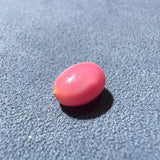 2.13Carat "Perfect Flame" Queen Conch Pearl From Caribbean Sea, Pearls Strombus Gigas, Flamed Pink Pearl, SKU: 1553 Etsy