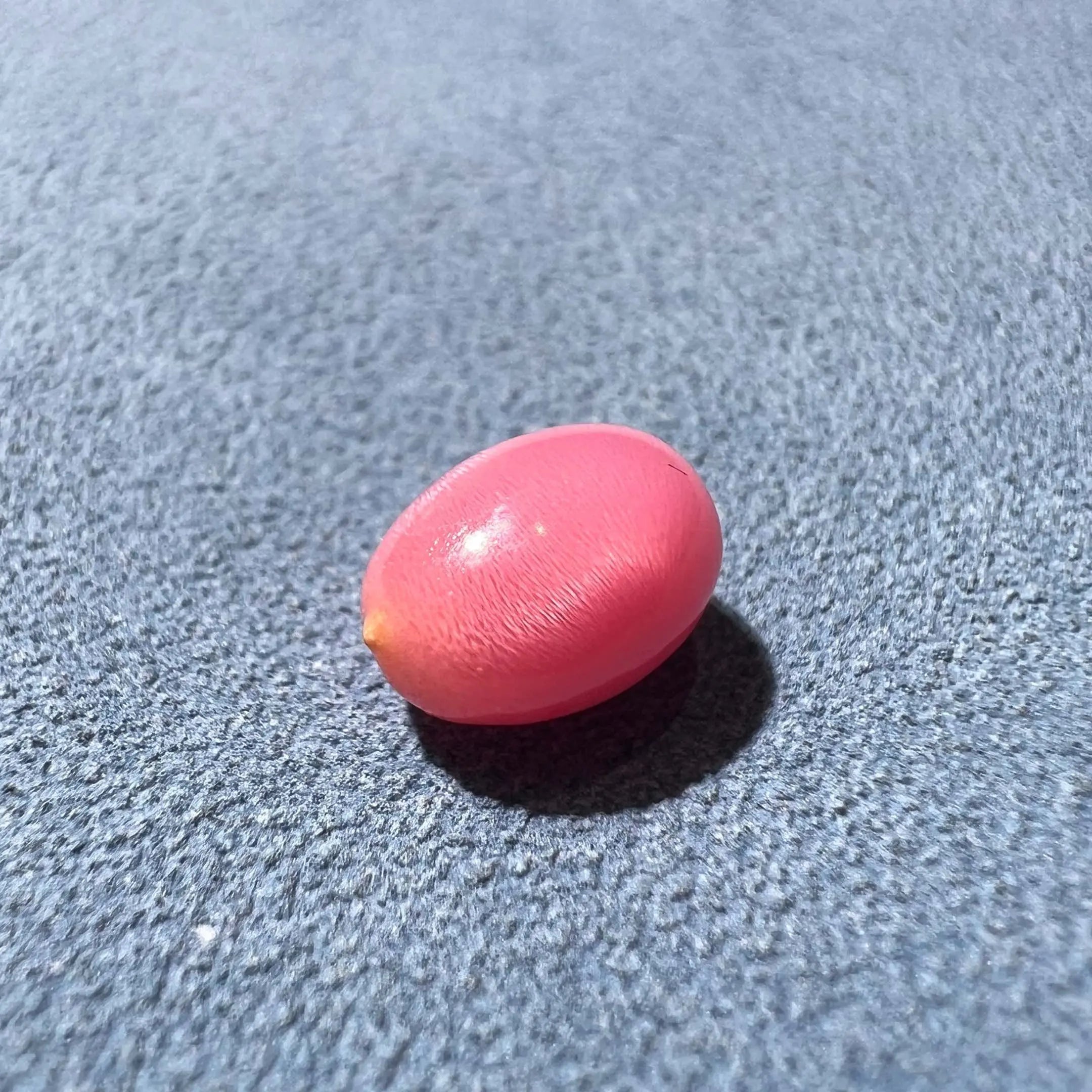 2.13Carat "Perfect Flame" Queen Conch Pearl From Caribbean Sea, Pearls Strombus Gigas, Flamed Pink Pearl, SKU: 1553 Etsy