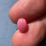 2.13Carat "Perfect Flame" Queen Conch Pearl From Caribbean Sea, Pearls Strombus Gigas, Flamed Pink Pearl, SKU: 1553 Etsy