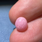 2.37Carat Queen Conch Pearl From Caribbean Sea, Pearls Strombus Gigas, Natural Queen Conch Pearl, Flamed Pink, SKU:936 Etsy