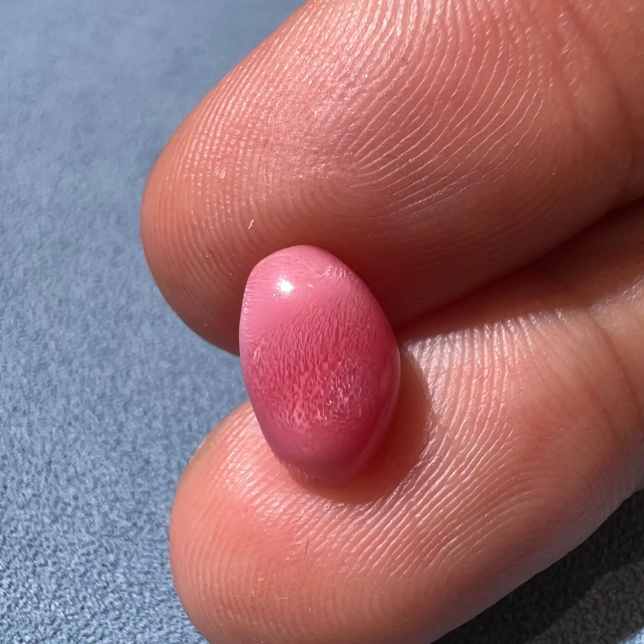 3.50Carat "Perfect Flame" Queen Conch Pearl From Caribbean Sea, Pearls Strombus Gigas, Natural Queen Conch Pearl, Flamed Pink, SKU: B706 Etsy