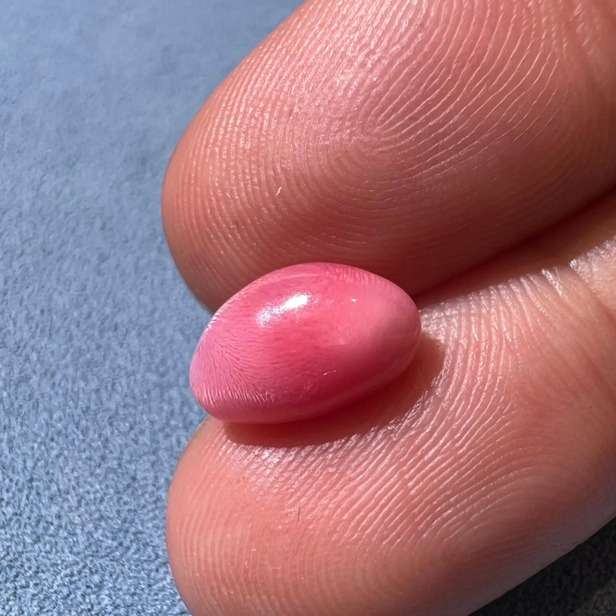 3.50Carat "Perfect Flame" Queen Conch Pearl From Caribbean Sea, Pearls Strombus Gigas, Natural Queen Conch Pearl, Flamed Pink, SKU: B706 Etsy