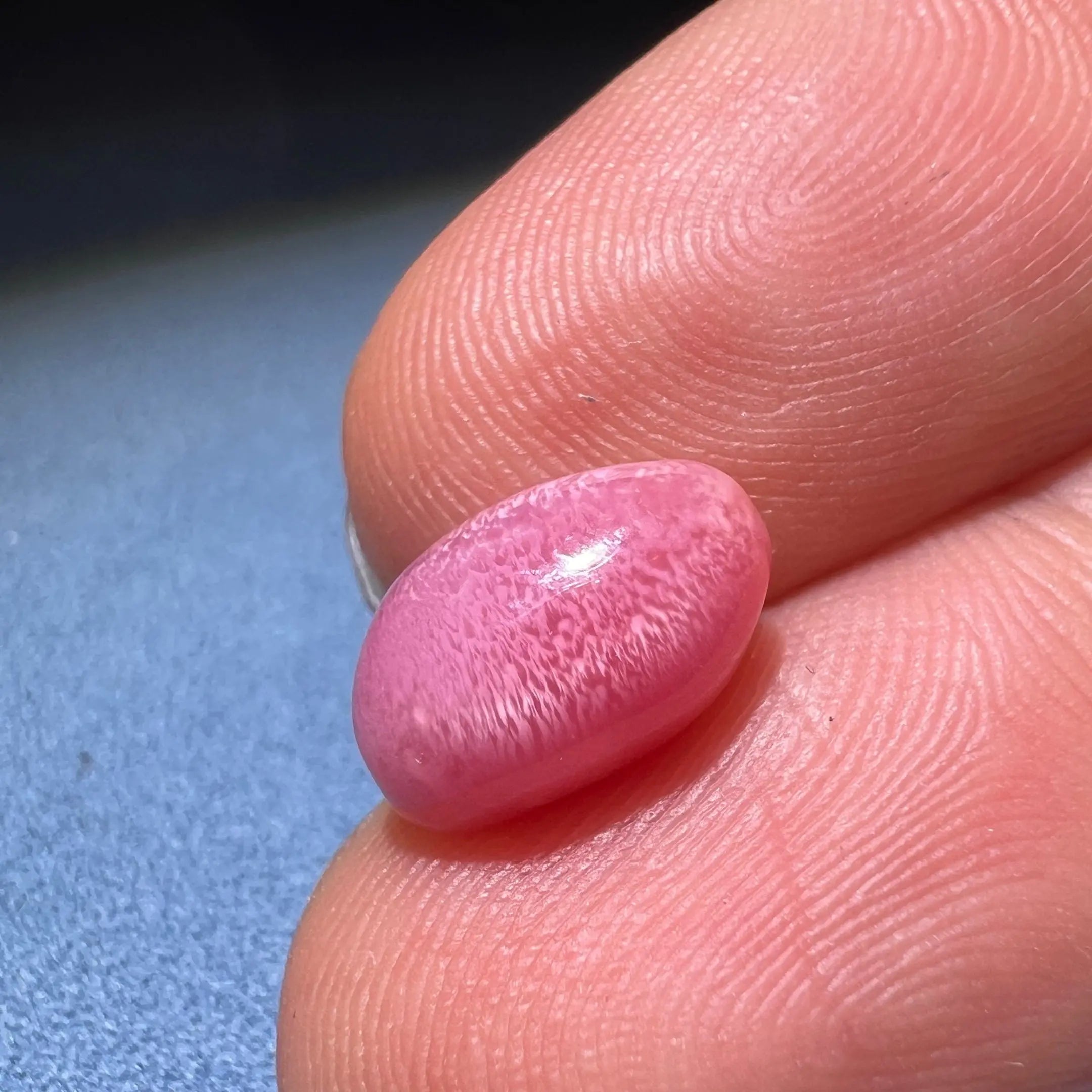 4.06Carat Queen Conch Pearl From Caribbean Sea, Pearls Strombus Gigas, Natural Queen Conch Pearl, Flamed Pink Pearl, SKU: 1125 Etsy