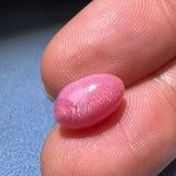 4.06Carat Queen Conch Pearl From Caribbean Sea, Pearls Strombus Gigas, Natural Queen Conch Pearl, Flamed Pink Pearl, SKU: 1125 Etsy