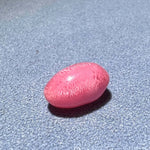 4.06Carat Queen Conch Pearl From Caribbean Sea, Pearls Strombus Gigas, Natural Queen Conch Pearl, Flamed Pink Pearl, SKU: 1125 Etsy
