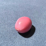 11.20 Carat "King of the Kings " Queen Conch Pearl From Caribbean Sea, Pearls Strombus Gigas, Natural Queen Conch Pearl, B739 Etsy