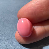 11.20 Carat "King of the Kings " Queen Conch Pearl From Caribbean Sea, Pearls Strombus Gigas, Natural Queen Conch Pearl, B739 Etsy