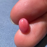 2.01Carat Certificate Queen Conch Pearl Pearls Strombus Gigas Flamed Pink Pearl, SKU: 1540 - LaCorserArtJewelry