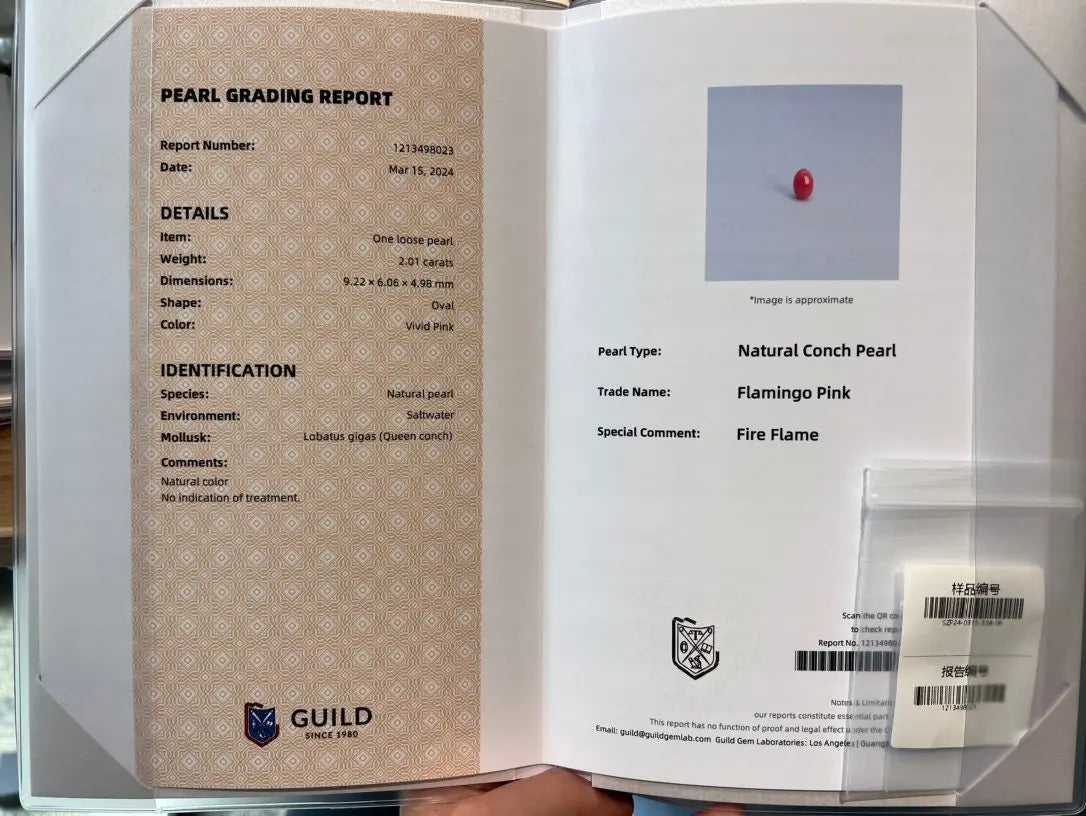 2.01Carat Certificate Queen Conch Pearl Pearls Strombus Gigas Flamed Pink Pearl, SKU: 1540 - LaCorserArtJewelry