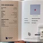 2.01Carat Certificate Queen Conch Pearl Pearls Strombus Gigas Flamed Pink Pearl, SKU: 1540 - LaCorserArtJewelry